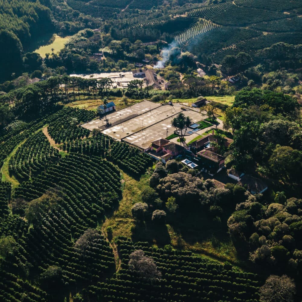 Coffeeness Espresso Blend Farm Brazil